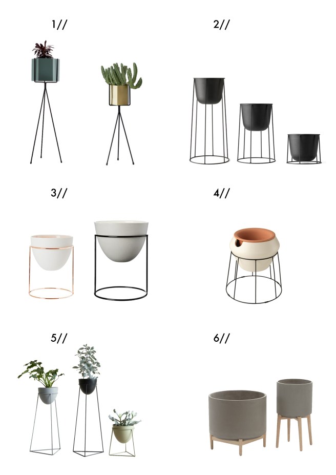 Ymyo touffe sur pied